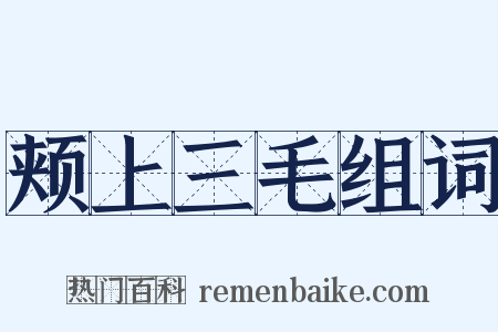 颊上三毛组词是什么意思的图片